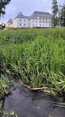Podlasie: Kraina Słońca, Przestrzeni i Relaksu     Podlasie to region, gdzie czas zwalnia, a natura zachwyca swym pięknem. To ...