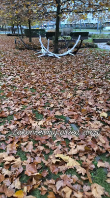  Zimowanie Stojaków Hamakowych: Poradnik Przechowywania&nbsp;&nbsp;​Kiedy liście opadają i temperatury spadają, nadszedł czas, aby zadbać o ...