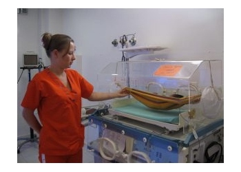 Terapia hamakowa dla wcześniaków