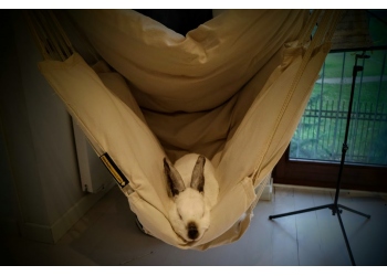 Fotel hamakowy KOALAHAMMOCK - Cocoon