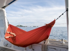 Single hammock, TMC