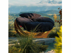 Fotel Tiga do wnętrz, Tw