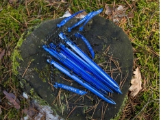 Heringii, SPIG UL - albastru(1)